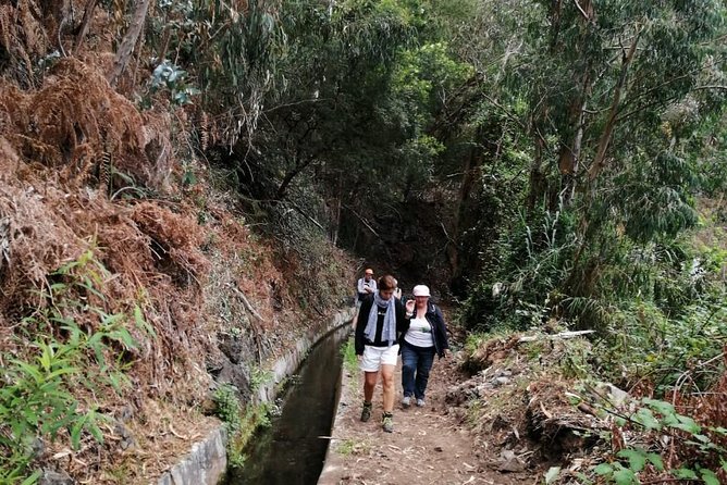 Hiking and Trekking tours in Madeira - Guide Jorge’s Role, and Why English Explanations Matter