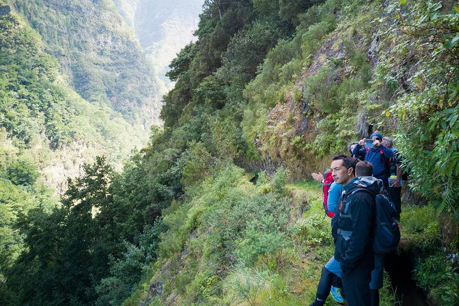 Hiking and Trekking tours in Madeira - Pickup, 9:00 am Start, and the Pace You Can Expect