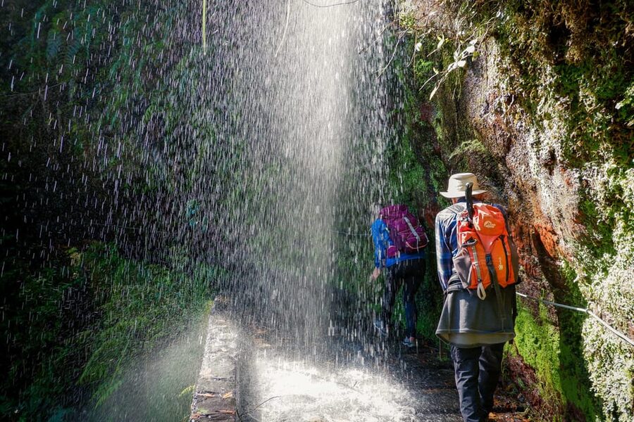 Hiking Madeira: Levada do Rei and the Majestic Laurissilva - Key highlights you will feel on day one