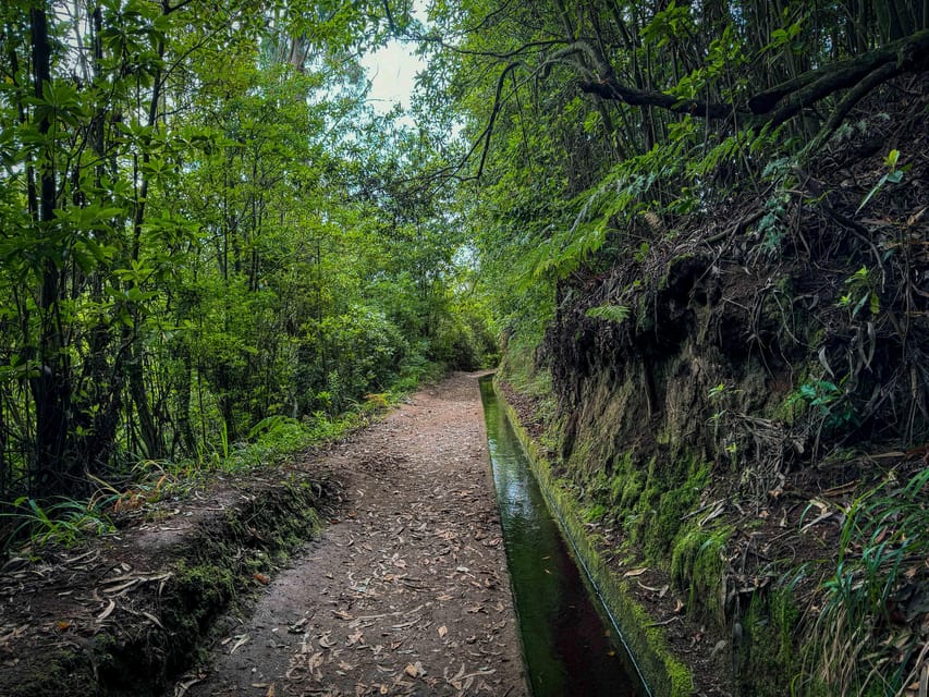 Hiking Madeira: Levada do Rei and the Majestic Laurissilva - Levada do Rei meets the UNESCO Laurisilva Forest