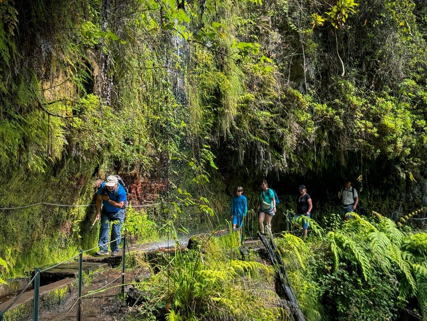 Hiking Madeira: Levada do Rei and the Majestic Laurissilva - How the day actually flows, including the breaks