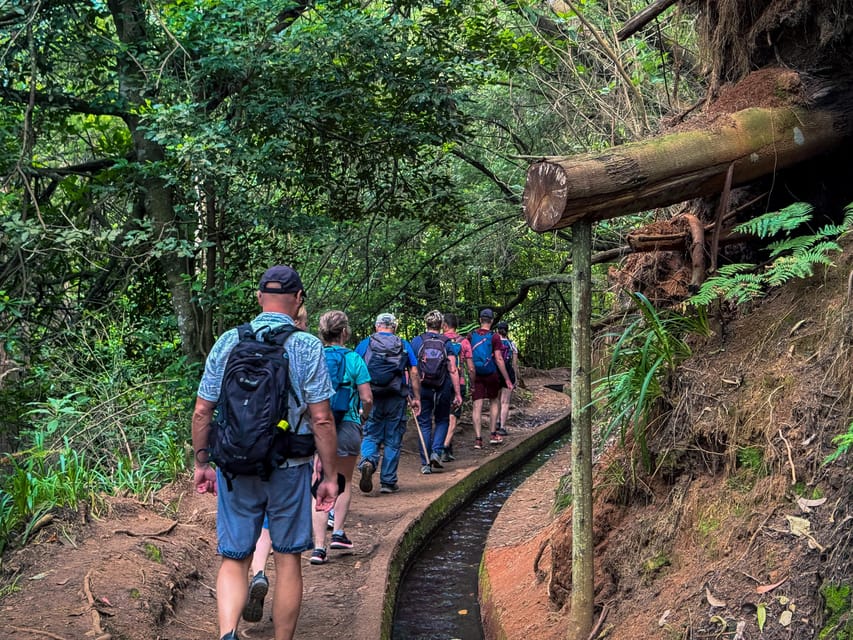 Hiking Madeira: Levada do Rei and the Majestic Laurissilva - Price and value: what $54 gets you, plus the 3 euro fee