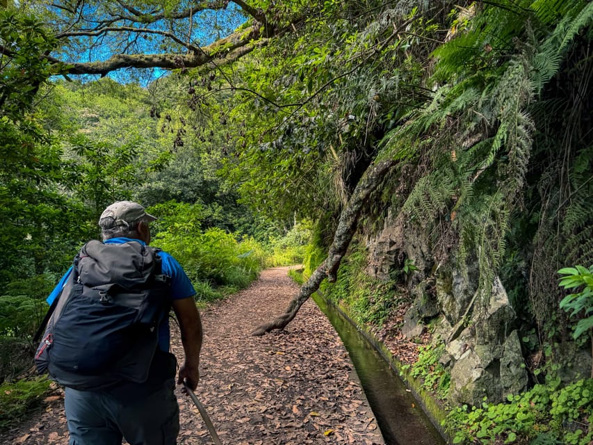 Hiking Madeira: Levada do Rei and the Majestic Laurissilva - São Jorge valley first, with a plant nerd’s dream path