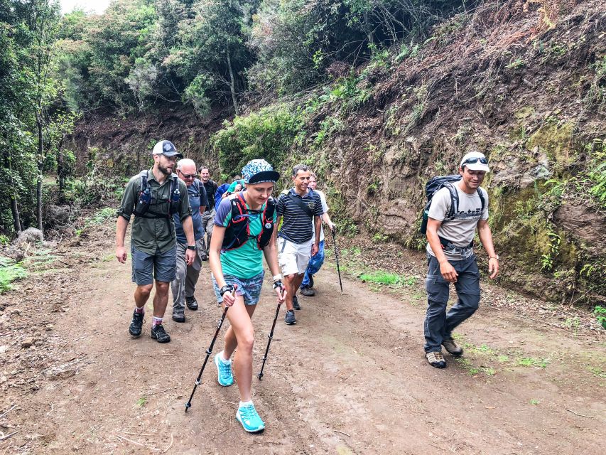 Hiking Trip with a Local - Key Highlights You Should Know