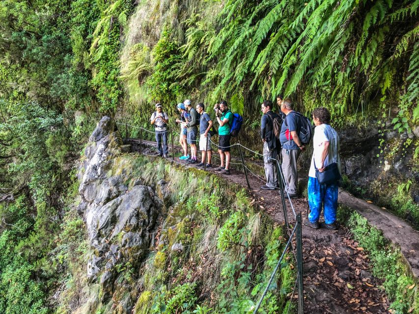 Hiking Trip with a Local - How This Madeira Hike Works, From Pickup to Trail Time