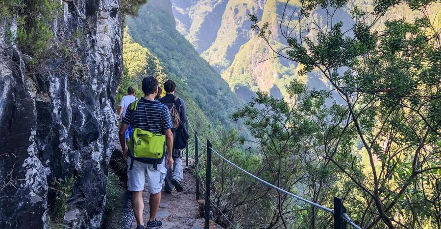 Hiking Trip with a Local - Why the Laurissilva and Levada Routes Are So Worth It