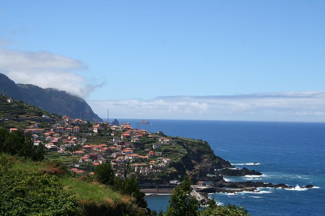 Hop-on Hop-off Bus Tour and Catamaran Whale & Dolphin Watching - Catamaran check-in and whale-and-dolphin watching on Madeira’s coast