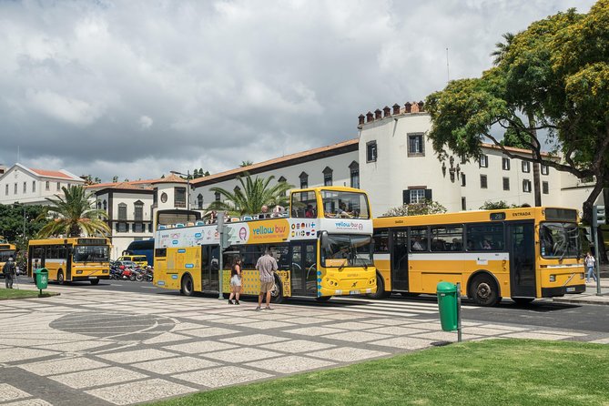 Hop-on Hop-off Bus Tour and Catamaran Whale & Dolphin Watching - Practical tips for a smoother day in steep Funchal