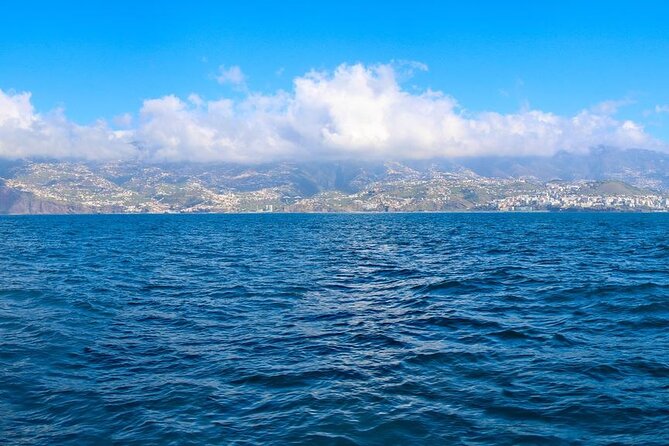 Hop-on Hop-off Bus Tour and Catamaran Whale & Dolphin Watching - The best places to hop off in Funchal, from City Gates to the Lido