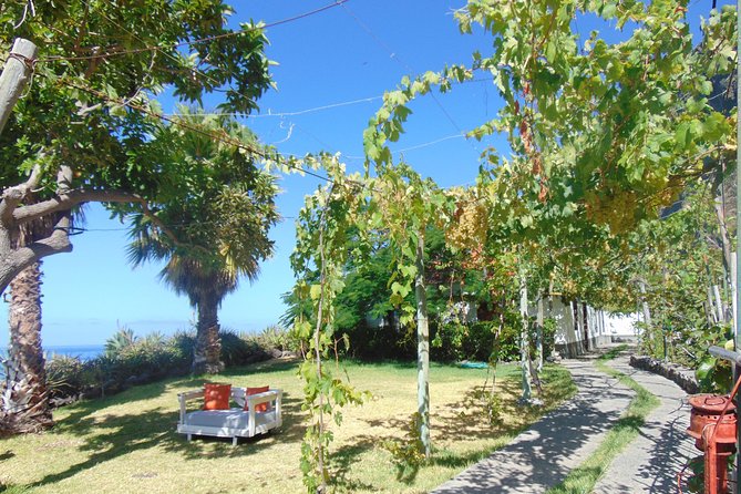 Incredible tour to a 'Faja' with a story - Walking through orchards, then ending at the sea