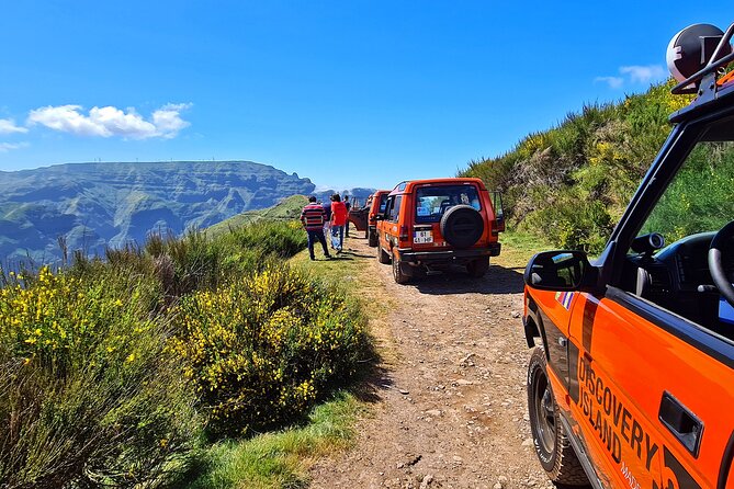 Jeep Safari Câmara de Lobos Cabo Girão Half Day Tour - Getting Set Up in Funchal: Pickup, Timing, and Group Size