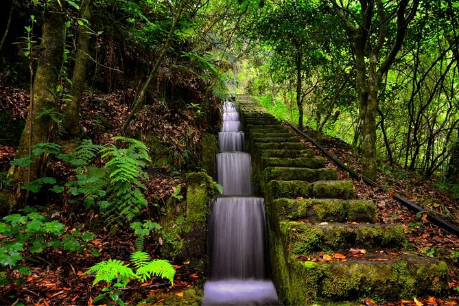 Jeep Safari in Pico Areeiro Santana Faial Full Day Tour - Porto da Cruz: the Sugar Cane Rum Factory visit you will remember
