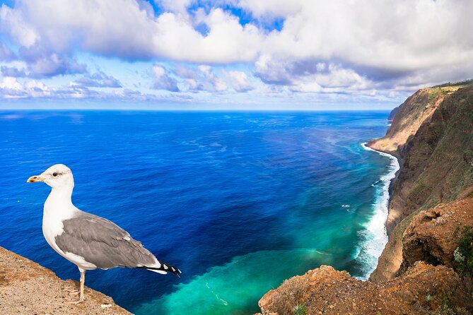 Jeep Safari in Southwest, Calheta and Ponta do Sol Full Day Tour - Stop 5: Maloeira Viewpoint near Calheta, big coastline photos