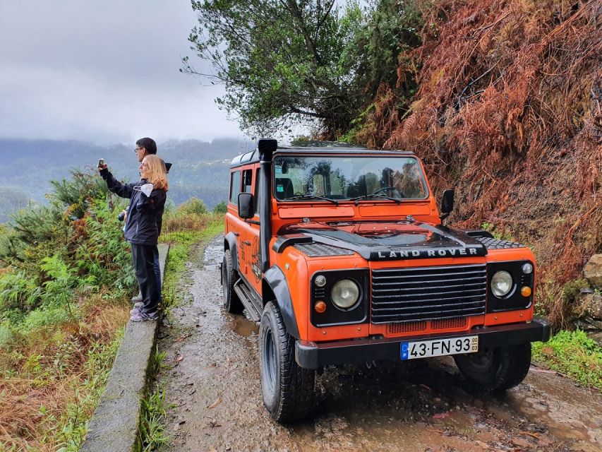 Jeep Tour Santana to East-Side - Laurissilva Forest and the trout nursery stop: green Madeira at a human pace