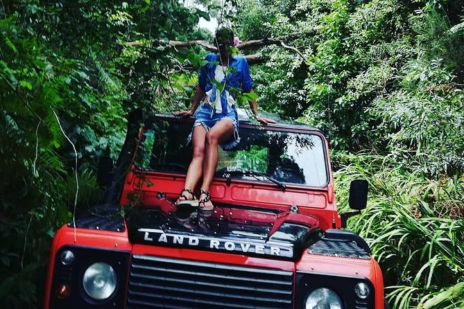 Jeep Tour To Santana: Old Forest Full-Day East-Side - Price and What You’re Really Paying For
