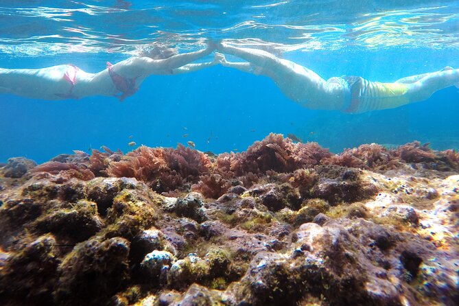 Kayak and Snorkeling Tour in Underwater Nature Reserve Garajau - Guides make the difference: local stories, humor, and safety