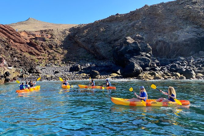 Kayak Experience @ Ponta de São Lourenço - Wildlife spotting and volcanic-coast photo moments that actually work