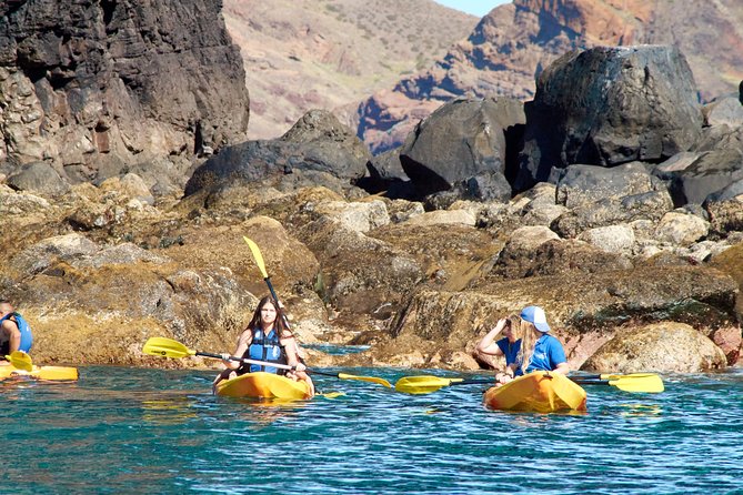 Kayak Experience @ Ponta de São Lourenço - Price and value for a 2-hour Madeira kayak