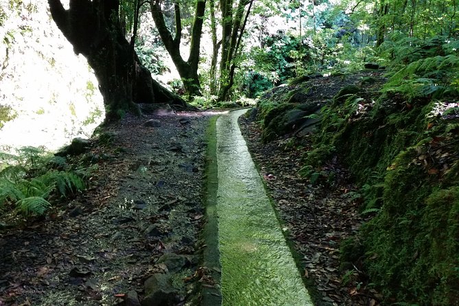 Kings Levada - São Jorge - Why the Kings Levada to São Jorge hike feels worth your morning