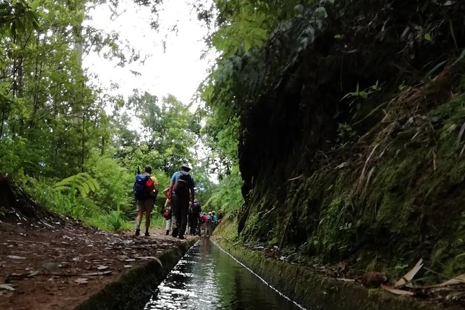 Kings Levada - São Jorge - Start time, pickup, and how the day stays organized