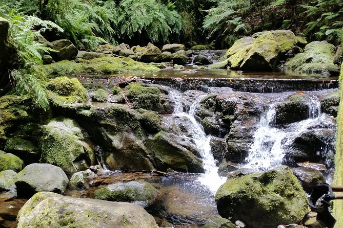 Kings Levada - São Jorge - Picnic lunch stop: how to plan your break like a local
