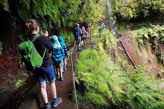 Kings Levada - São Jorge - Price and value: what $54.01 buys you on Madeira