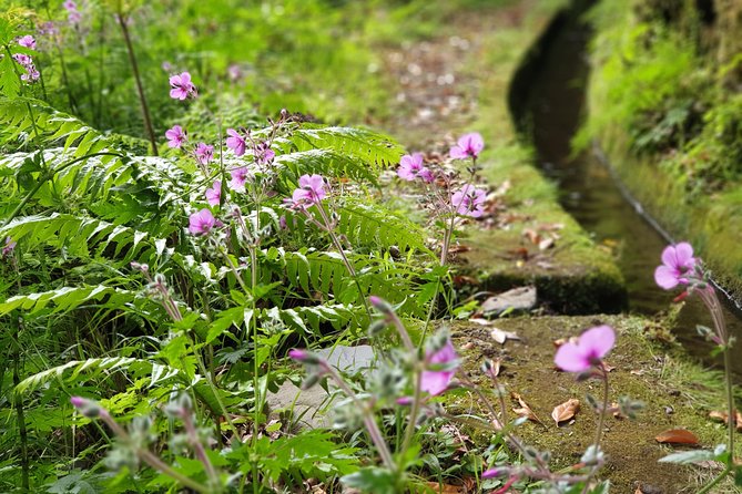 Kings Levada - São Jorge - Fitness level and weather reality check