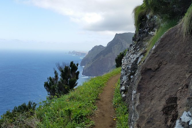 Larano Walking Tour - Larano in Funchal: A half-day that gives you Madeira’s coastal perspective