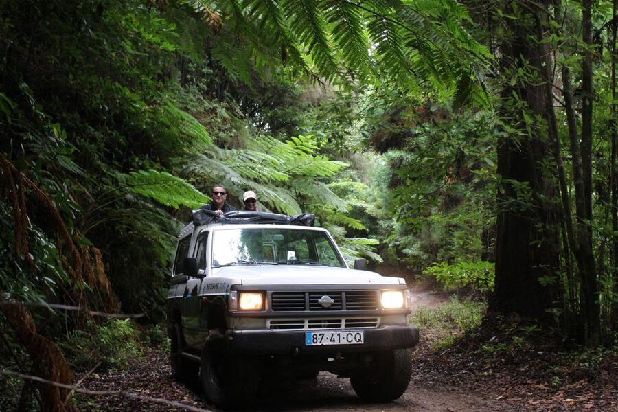 Let-Me-Surprise-You Madeira Full Day Private Tour - Key highlights that make this tour worth it