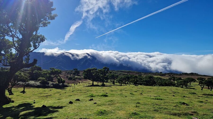 Let-Me-Surprise-You Madeira Full Day Private Tour - Price and value: what $294 per group up to 3 really buys