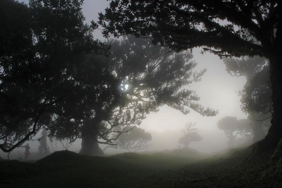 Let-Me-Surprise-You Madeira Full Day Private Tour - Meet Valdemar (Val) and get a tour that adjusts to you