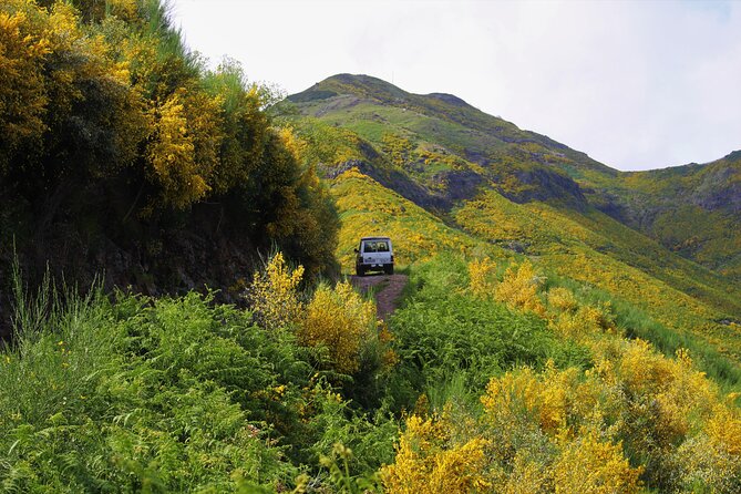 Let-Me-Surprise-You Private Full-Day Tour in All Terrain Vehicle - Who Should Book This Tour, and Who Might Not