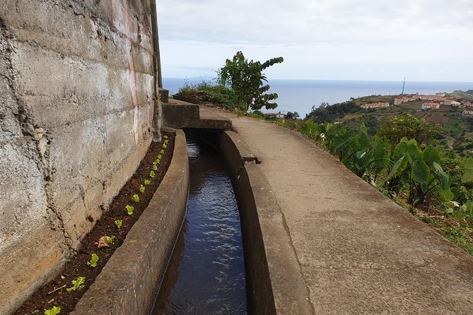 Levada da Referta - Castelejo - Terraces and Local Agriculture: What You Learn While You Walk