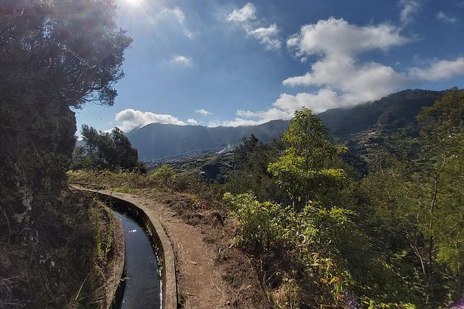 Levada da Referta - Castelejo - The End Stop: Orange Juice, Poncha, and Dessert Options
