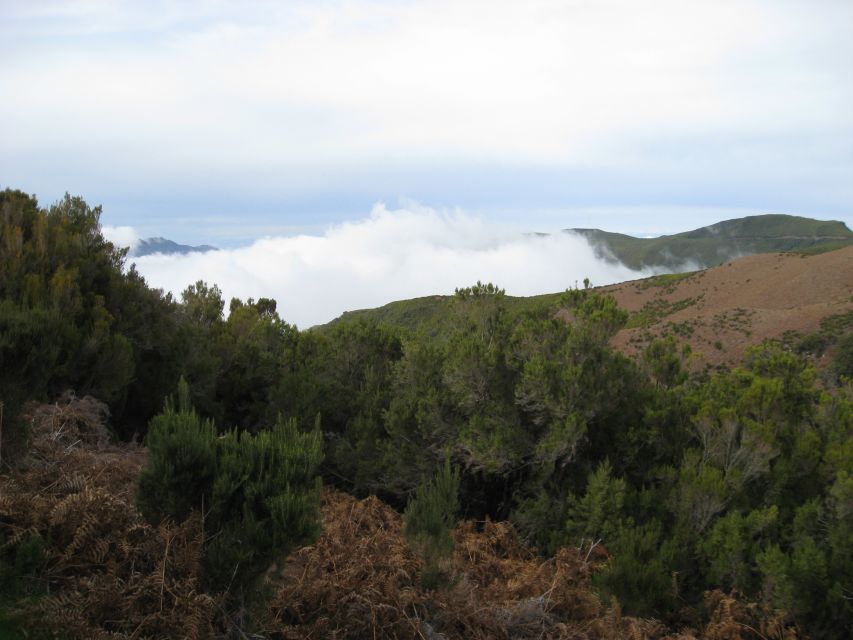 Levada do Alecrim (Madeira Lakes) Full-day walk - Why Levada Water Makes This Walk Special
