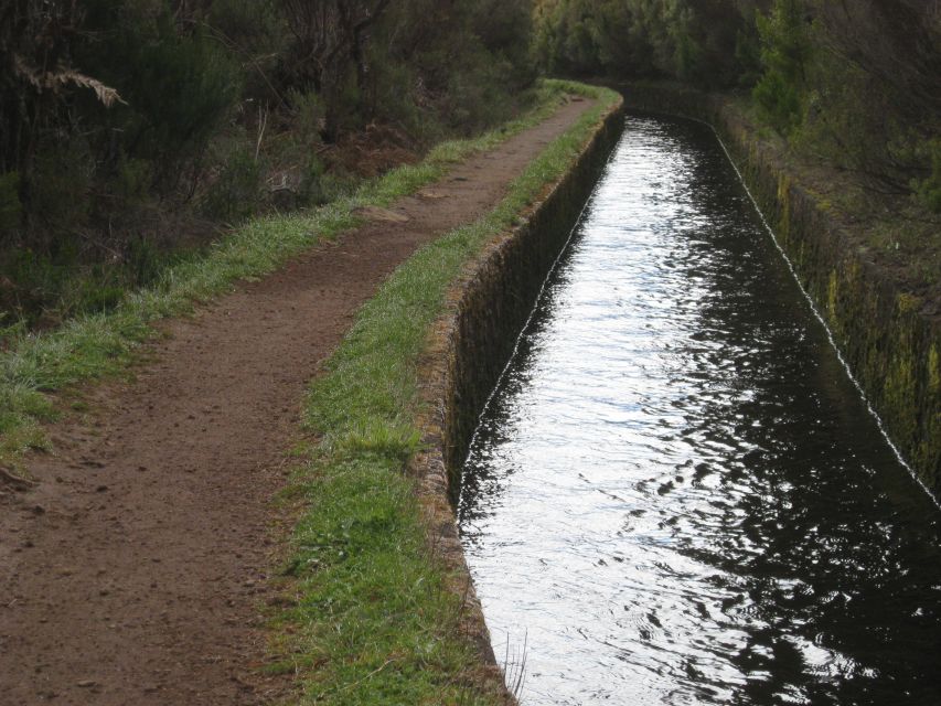 Levada do Alecrim (Madeira Lakes) Full-day walk - Meeting Maria, Tim, and Jorge Through Their Storytelling