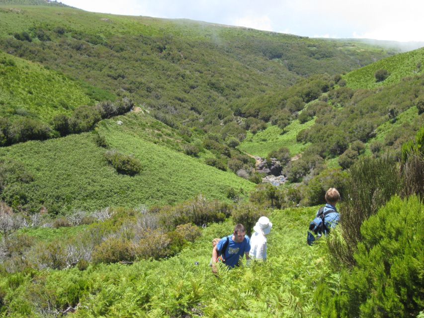 Levada do Alecrim (Madeira Lakes) Full-day walk - Terrain Difficulty: Where It Feels Easy and Where It Gets Real