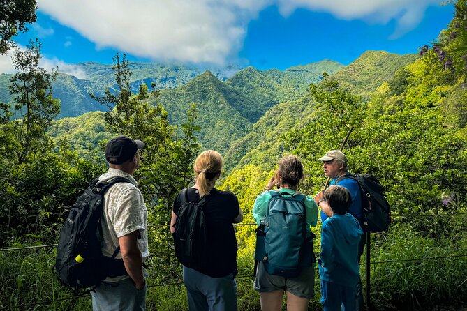 Levada do Rei (PR18) - Through Madeira's Majestic Laurissilva - Key highlights to know before you go