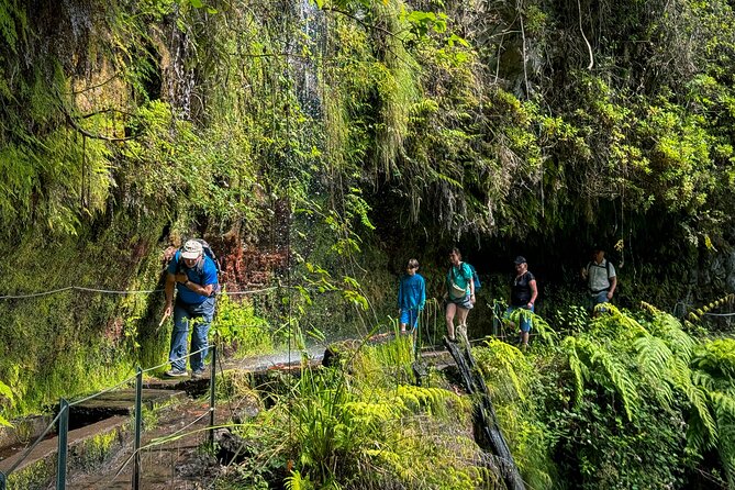 Levada do Rei (PR18) - Through Madeira's Majestic Laurissilva - Inside UNESCO Laurisilva, what you’ll actually notice on the walk