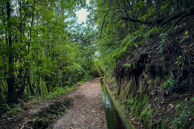Levada do Rei (PR18) - Through Madeira's Majestic Laurissilva - Guides make the difference: Sammy, Fábio, and Jenni style of leading