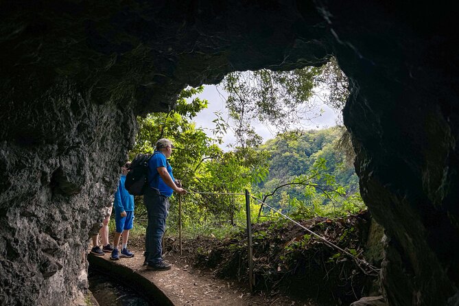 Levada do Rei (PR18) - Through Madeira's Majestic Laurissilva - Getting picked up smoothly in Funchal and Caniço