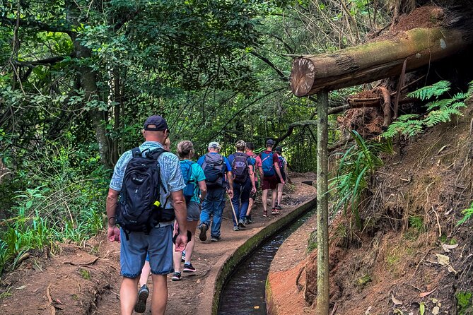 Levada do Rei (PR18) - Through Madeira's Majestic Laurissilva - What to pack and the €3 cash trail fee
