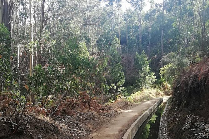 Levada Serra D´Agua - Key things to know before you go