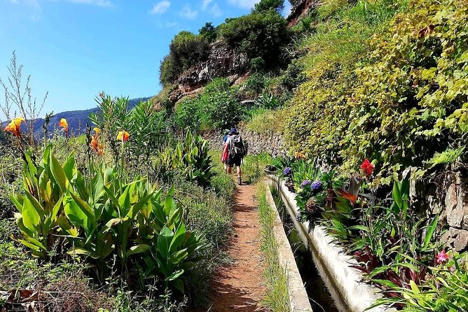 Levada Serra D´Agua - Pacing, group size, and comfort for a 2-hour morning hike