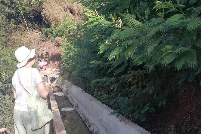 Levada Serra D´Agua - Weather matters more than you expect