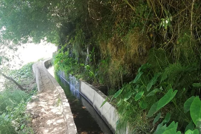 Levada Serra D´Agua - Getting picked up in Funchal and reaching the trail start smoothly