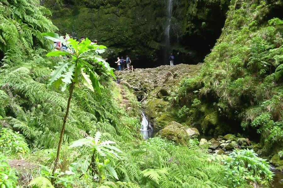 Levada Walk and Caldeirao Verde Waterfalls: Madeira - Key things to know before you go