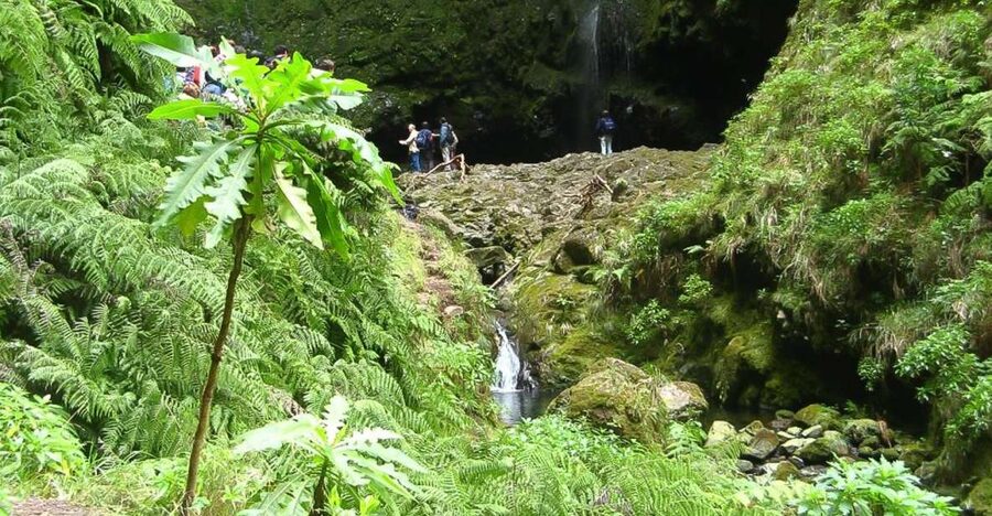 Levada Walk and Caldeirao Verde Waterfalls: Madeira - Why Caldeirão Verde levadas feel like the right Madeira hike