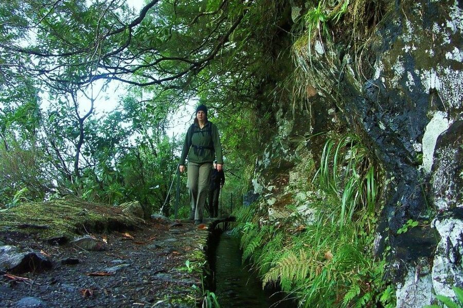Levada Walk and Caldeirao Verde Waterfalls: Madeira - Reaching Caldeirão Verde: what the waterfall stop is really like