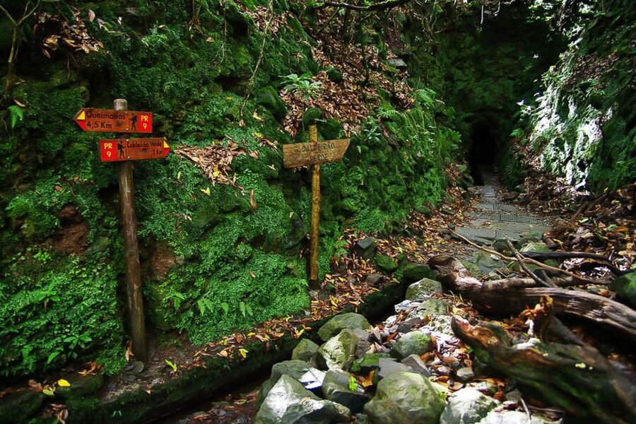 Levada Walk and Caldeirao Verde Waterfalls: Madeira - The tunnels, narrow paths, and height exposure you should plan for